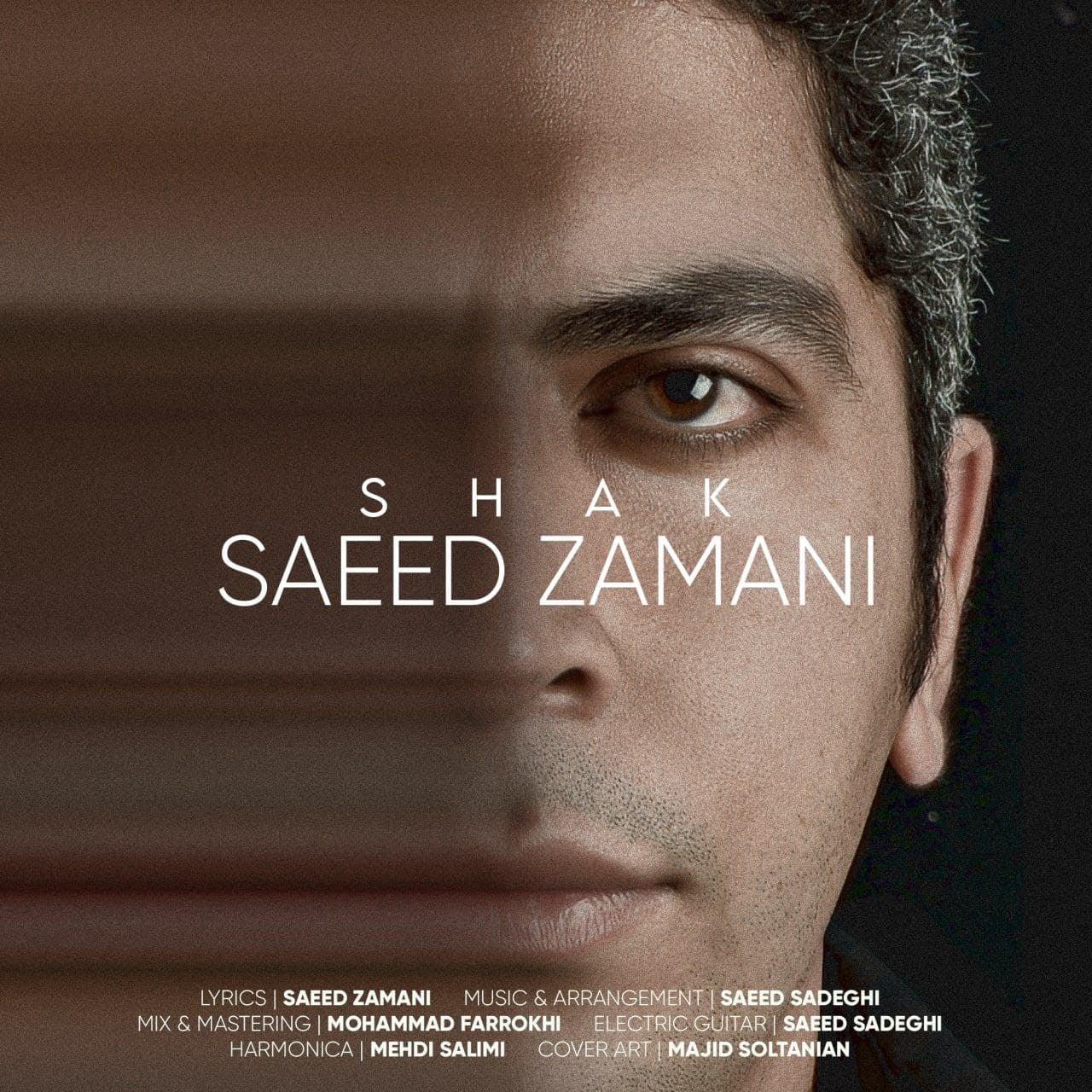 Saeed Zamani – Shak