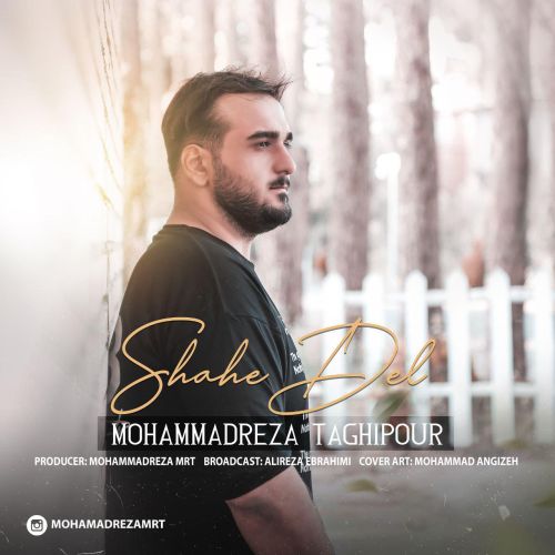 MohammadeReza TaghiPour – Shahe Del