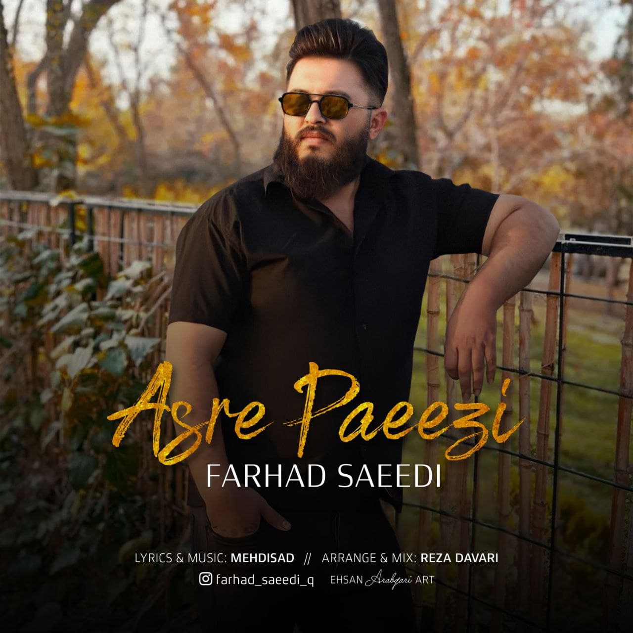 Farhad saeedi – Asre Paeezi