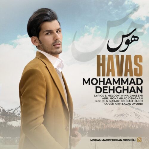 Mohammad Dehghan – Havas