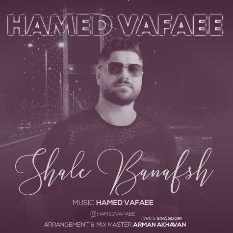 Hamed Vafaee – Shale Banafsh