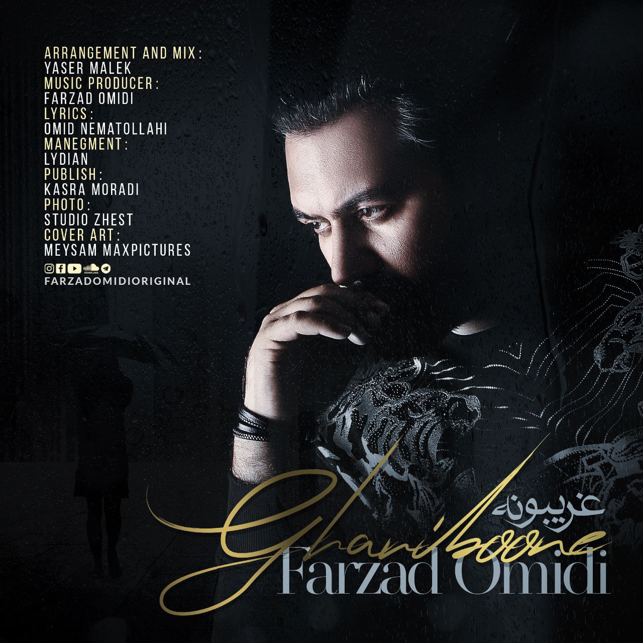Farzad Omidi – Ghariboone