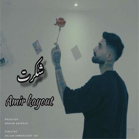 Amir Kayout – Shokret