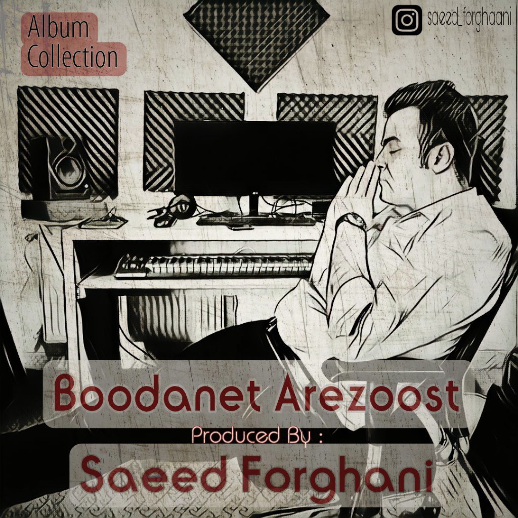 Saeed Forghani – Boodanet Arezoost