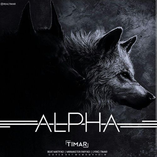 Timar – Alpha