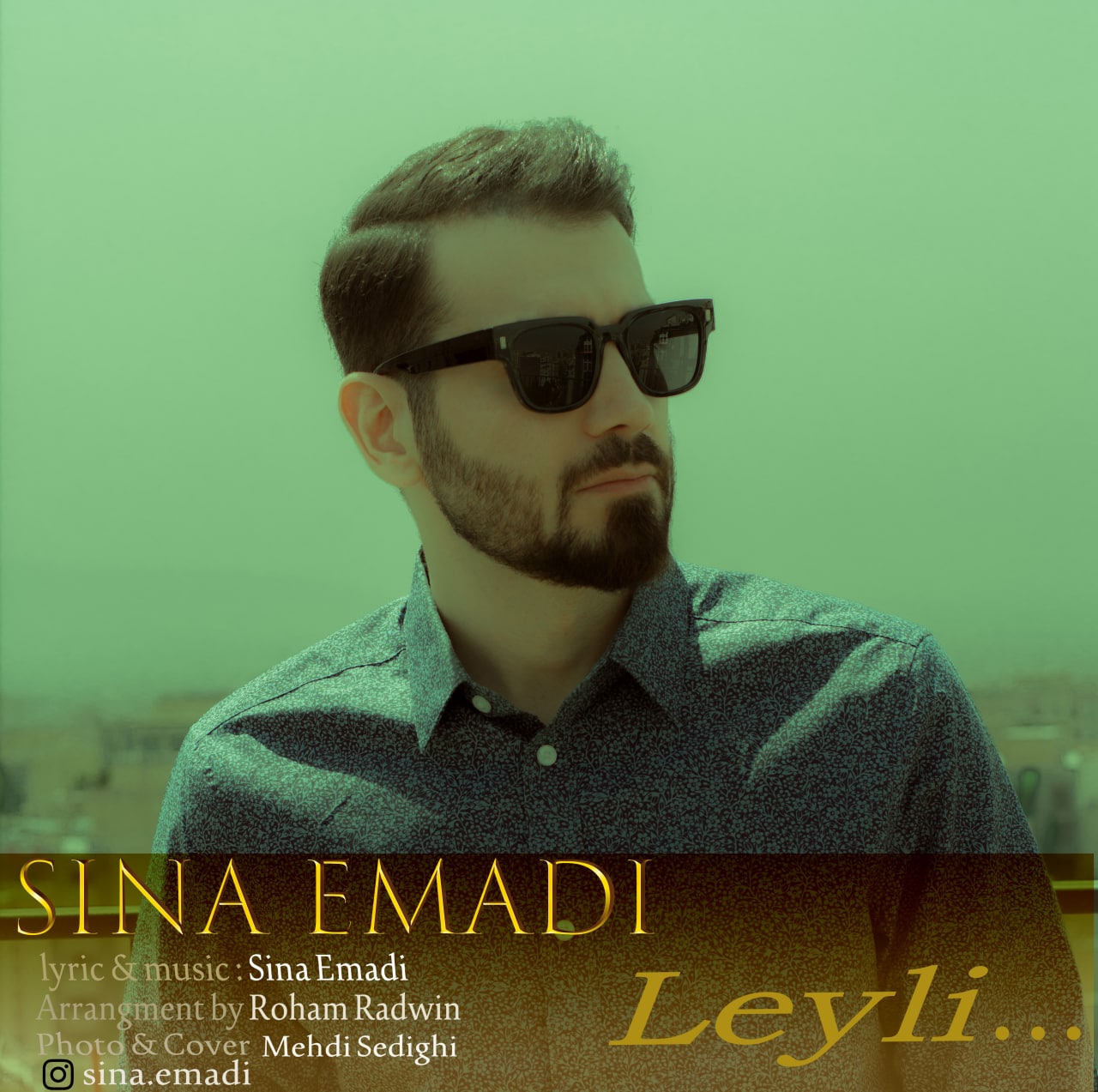 Sina Emadi – Leyli