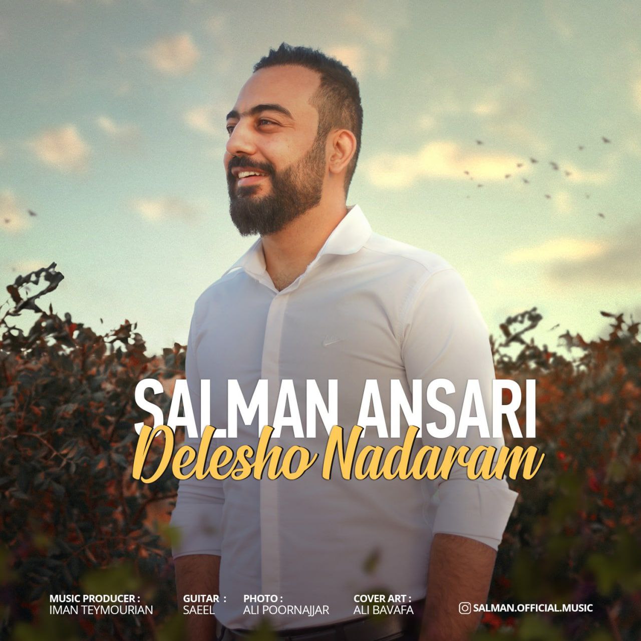Salman Ansari – Delesho Nadaram
