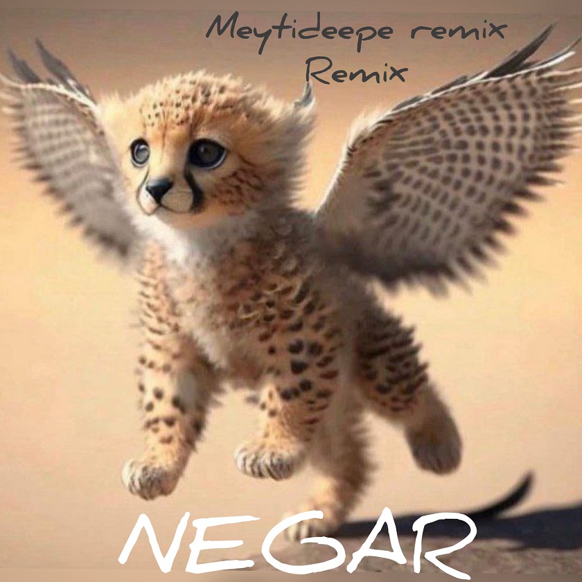 Meyti Deepe – Negar (Remix)