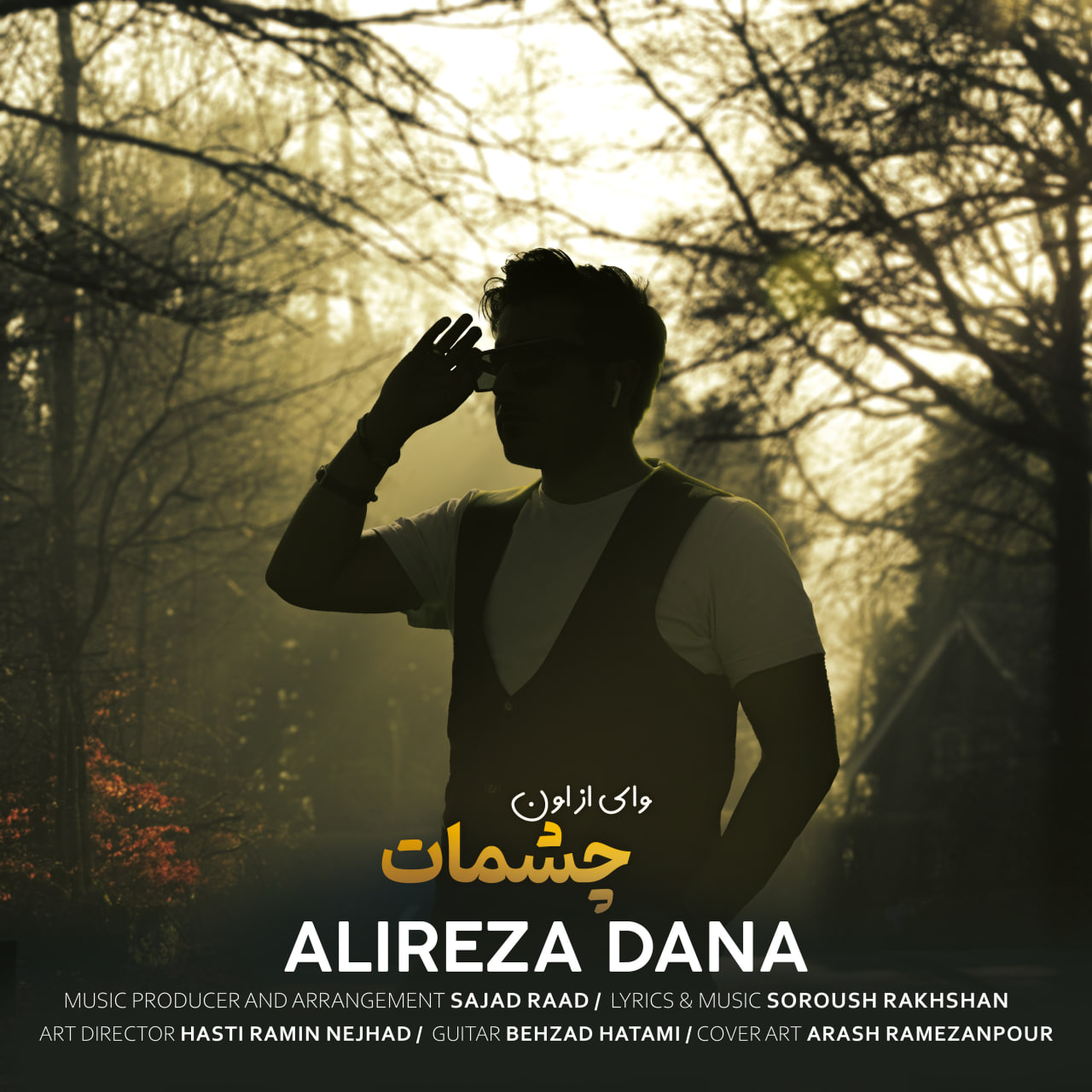 Alireza Dana – Vay Az On Chehmat