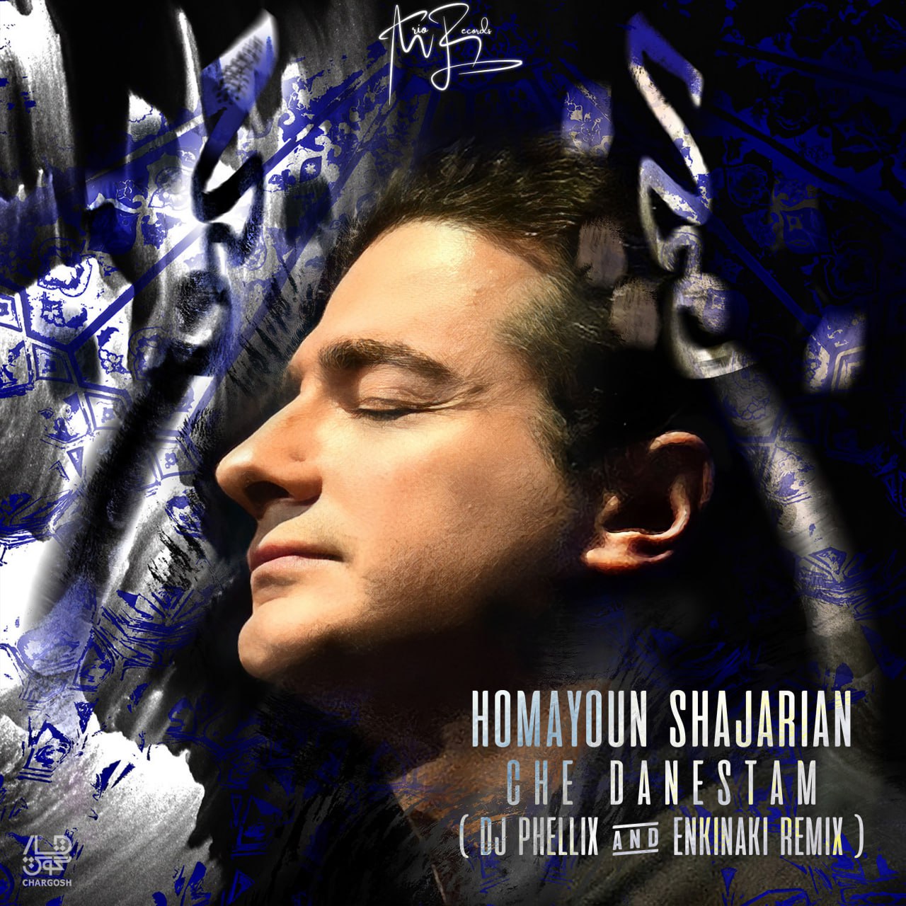 Homayoun Shajarian – Che Danestam ( DJ Phellix And Enkinaki Remix )