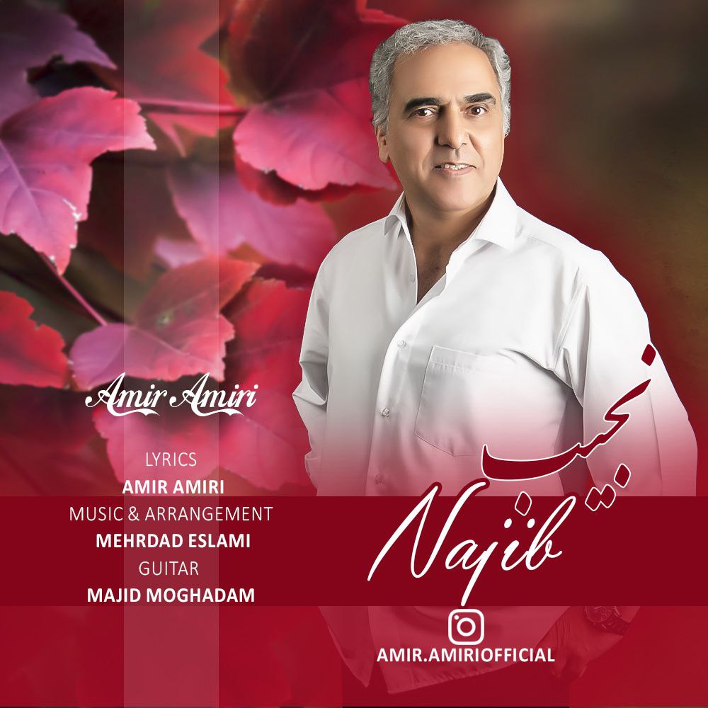 Amir Amiri – Najib