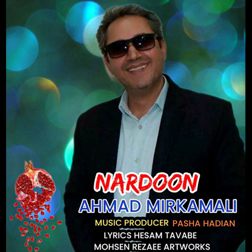 Ahmad Mirkamali – Nardoon