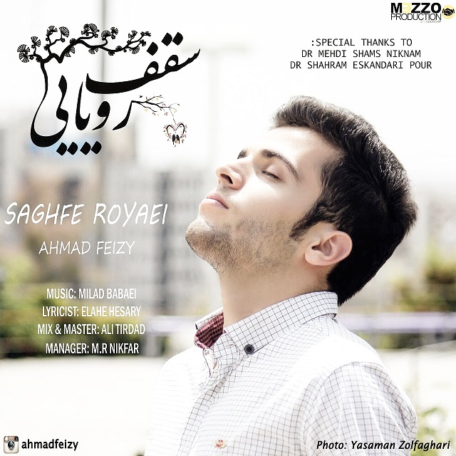 Ahmad Feizy – Saghfe Royaei