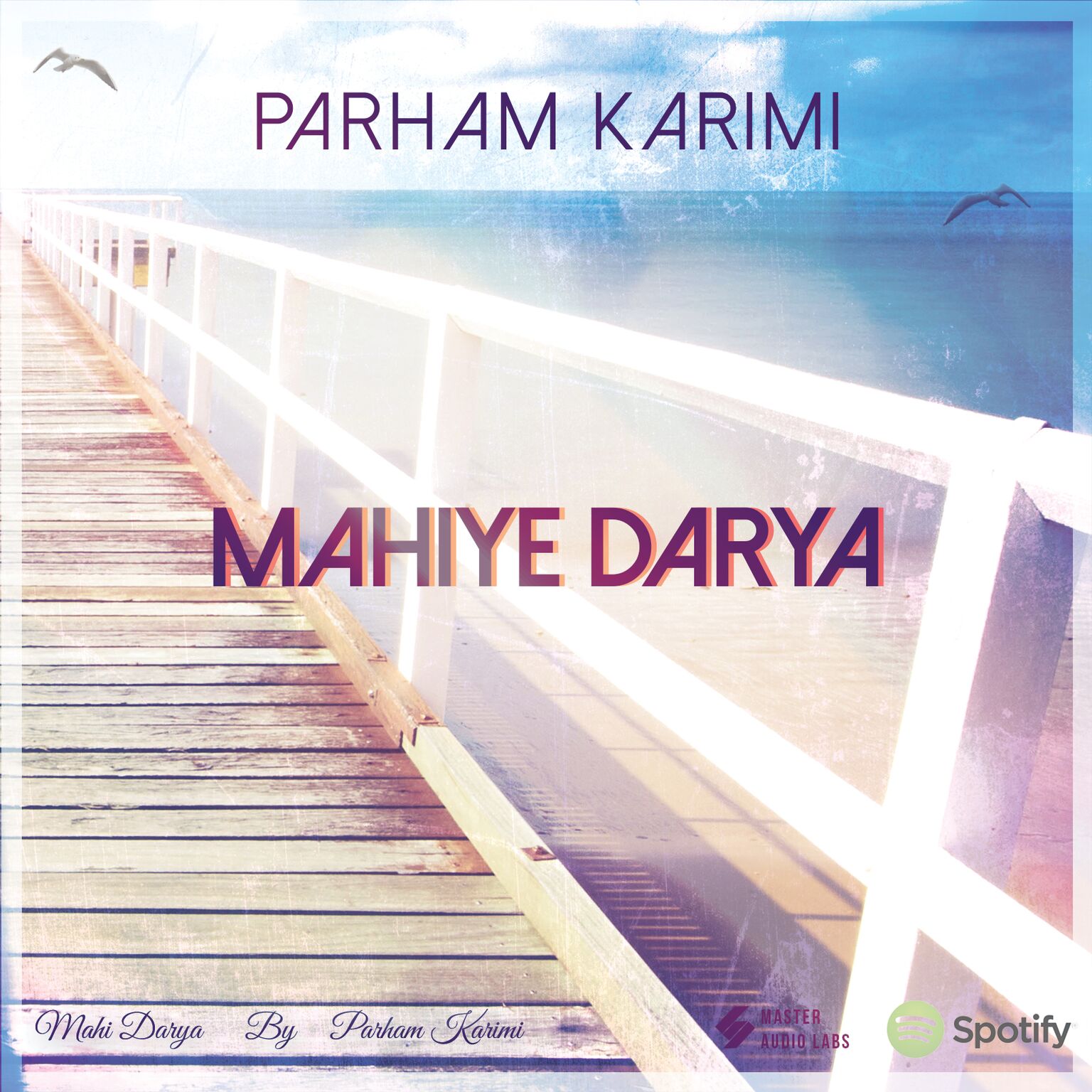 Parham Karimi – Mahiye Darya