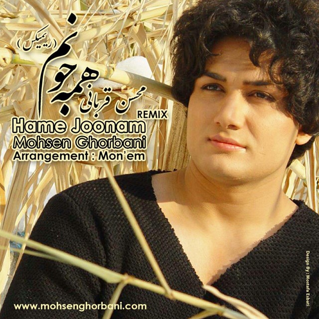 Mohsen Ghorbani – Hame Joonam (Remix)