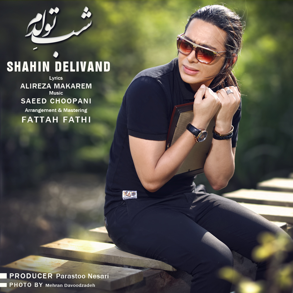 Shahin Delivand – Shabe Tavalodam