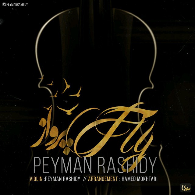 Peyman Rashidy – Parvaz