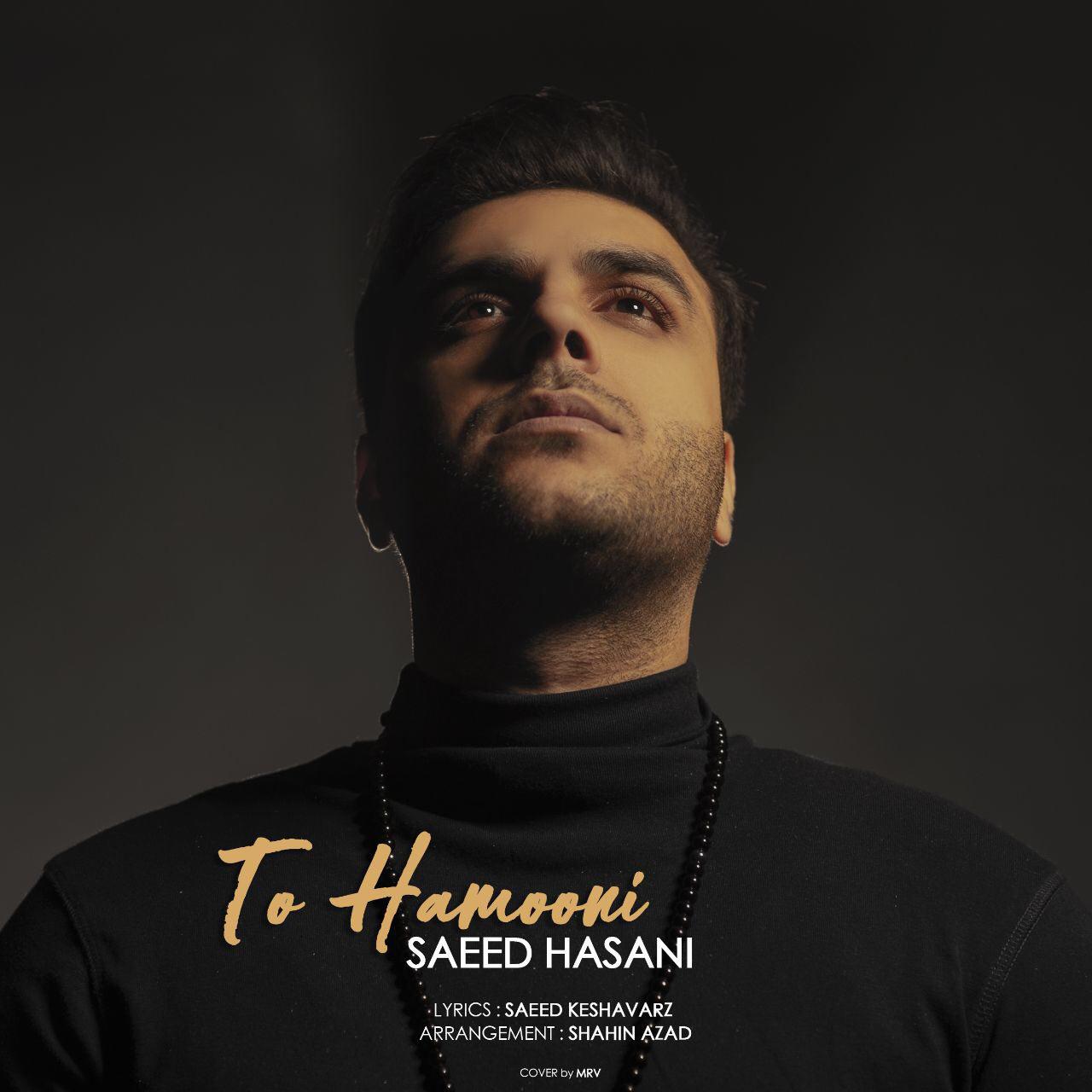 Saeed Hasani – To Hamooni