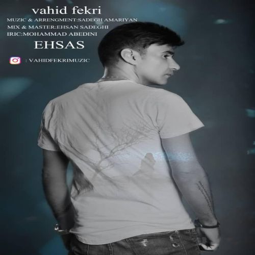 Vahid Fekri – Ehsas