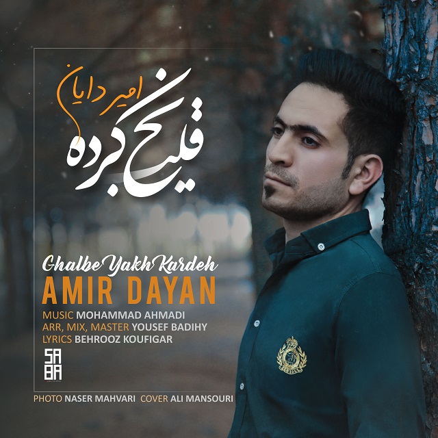 Amir Dayan – Ghalbe Yakh Kardeh