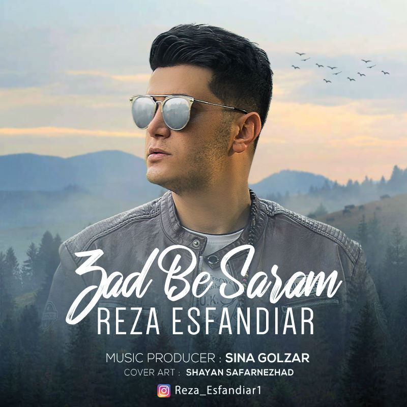 Reza Esfandiar – Zad Be Saram