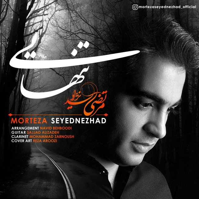 Morteza Seyednezhad – Tanhaei