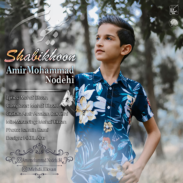Amir Mohammad Nodehi – Shabikhoon