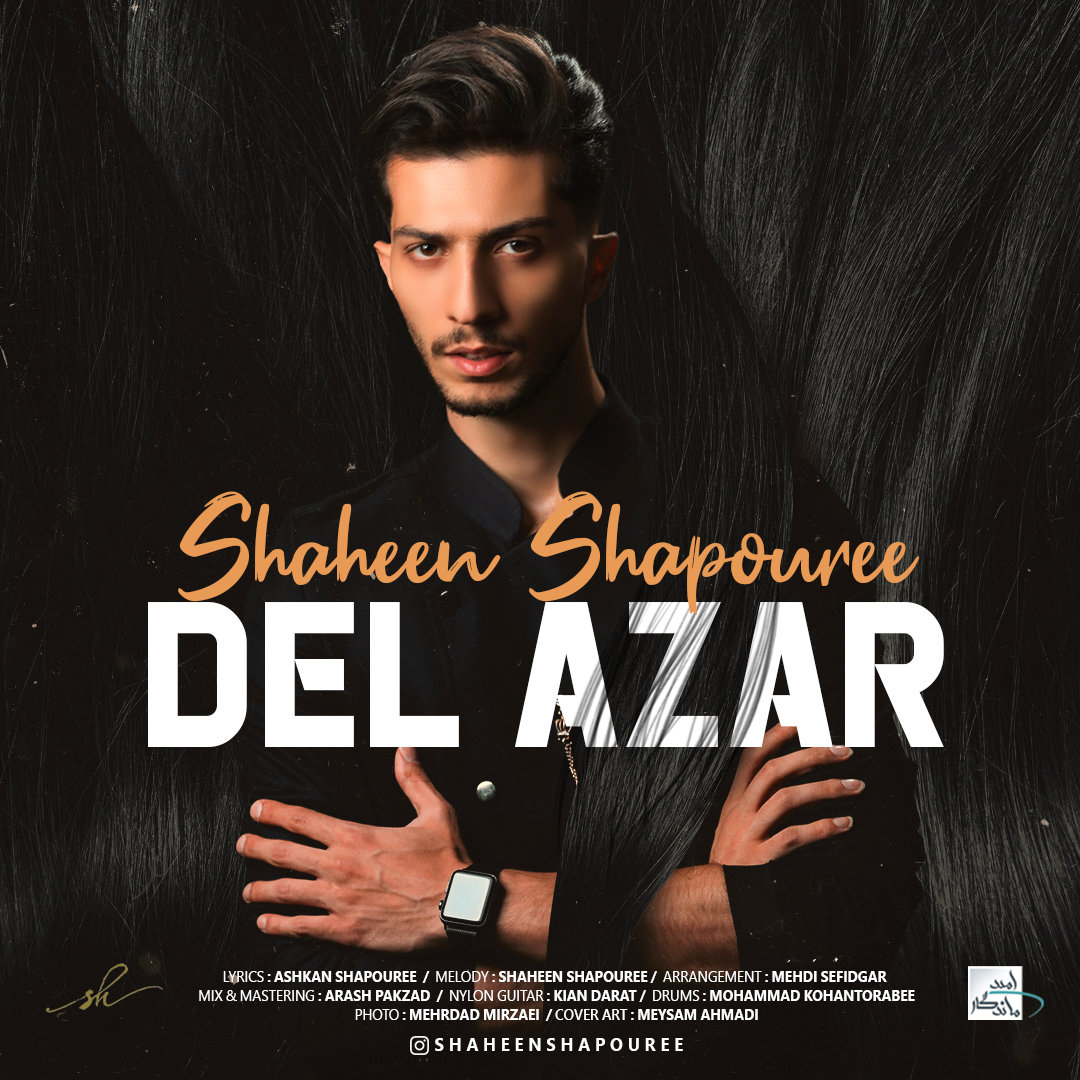 Shaheen Shapouree – Del Azar (Vexatious)
