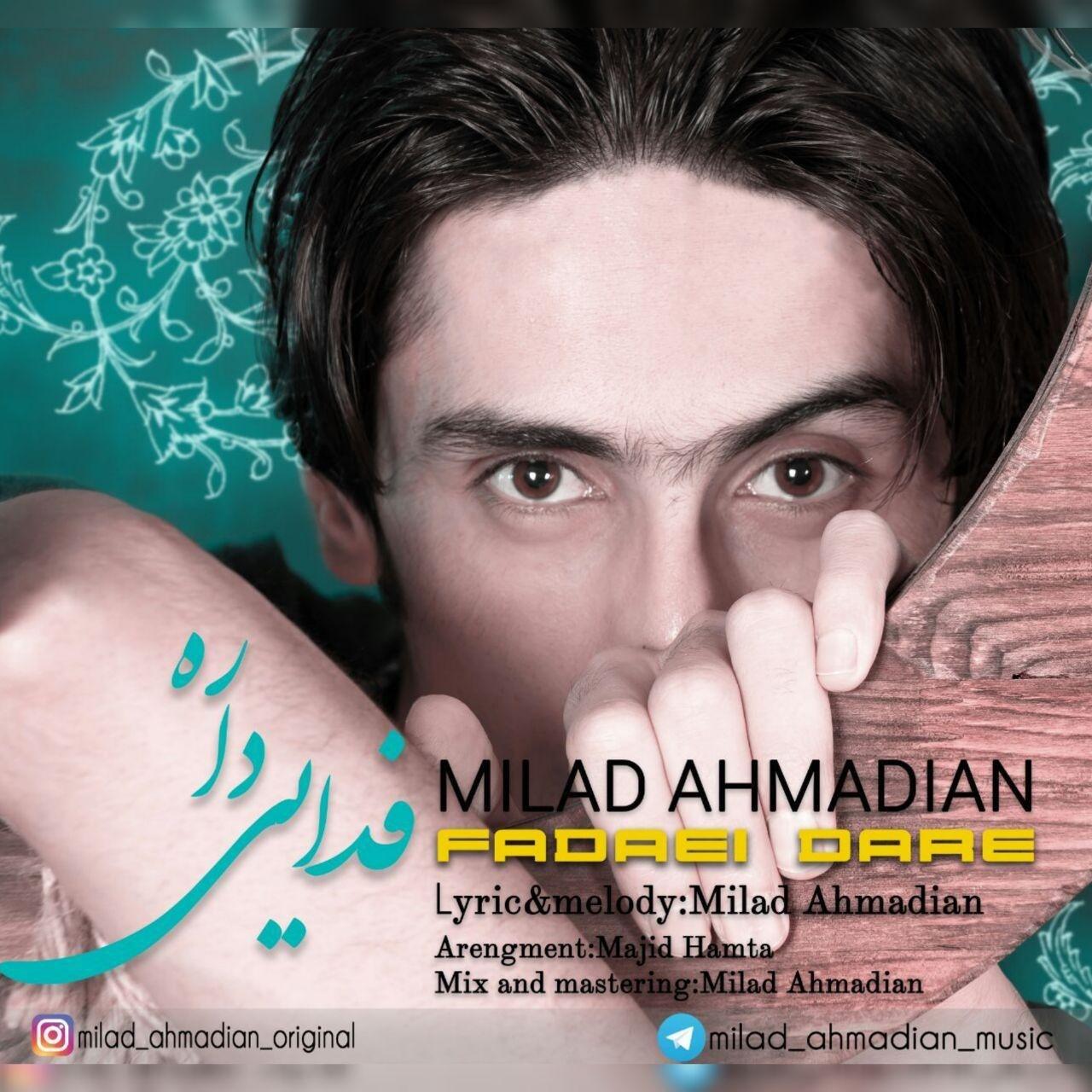 Milad Ahmadian – Fadaei Dare