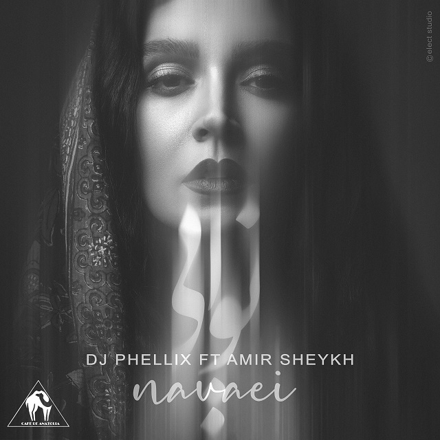 DJ Phellix Ft Amir Sheykh – Navaei