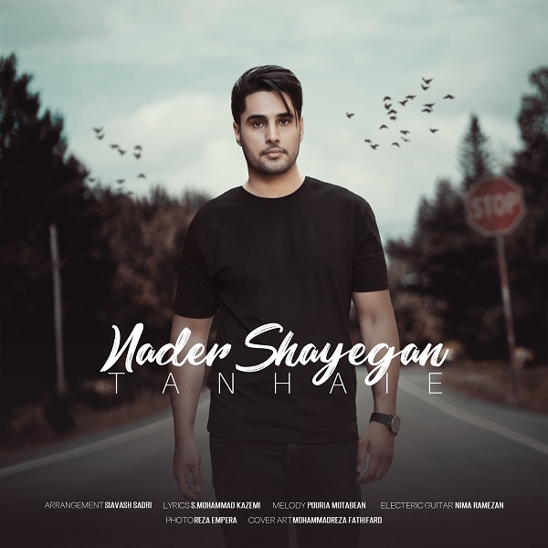 Nader Shayegan – Tanhaie