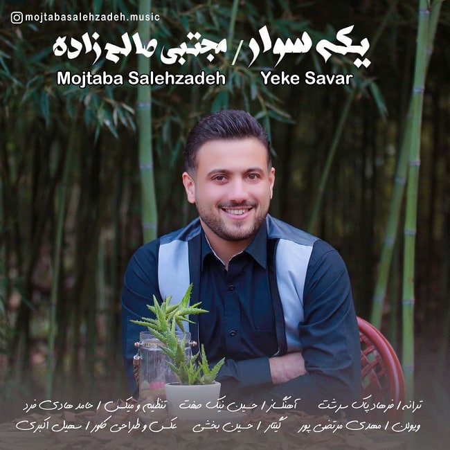 Mojtaba Salehzadeh – Yeke Savar