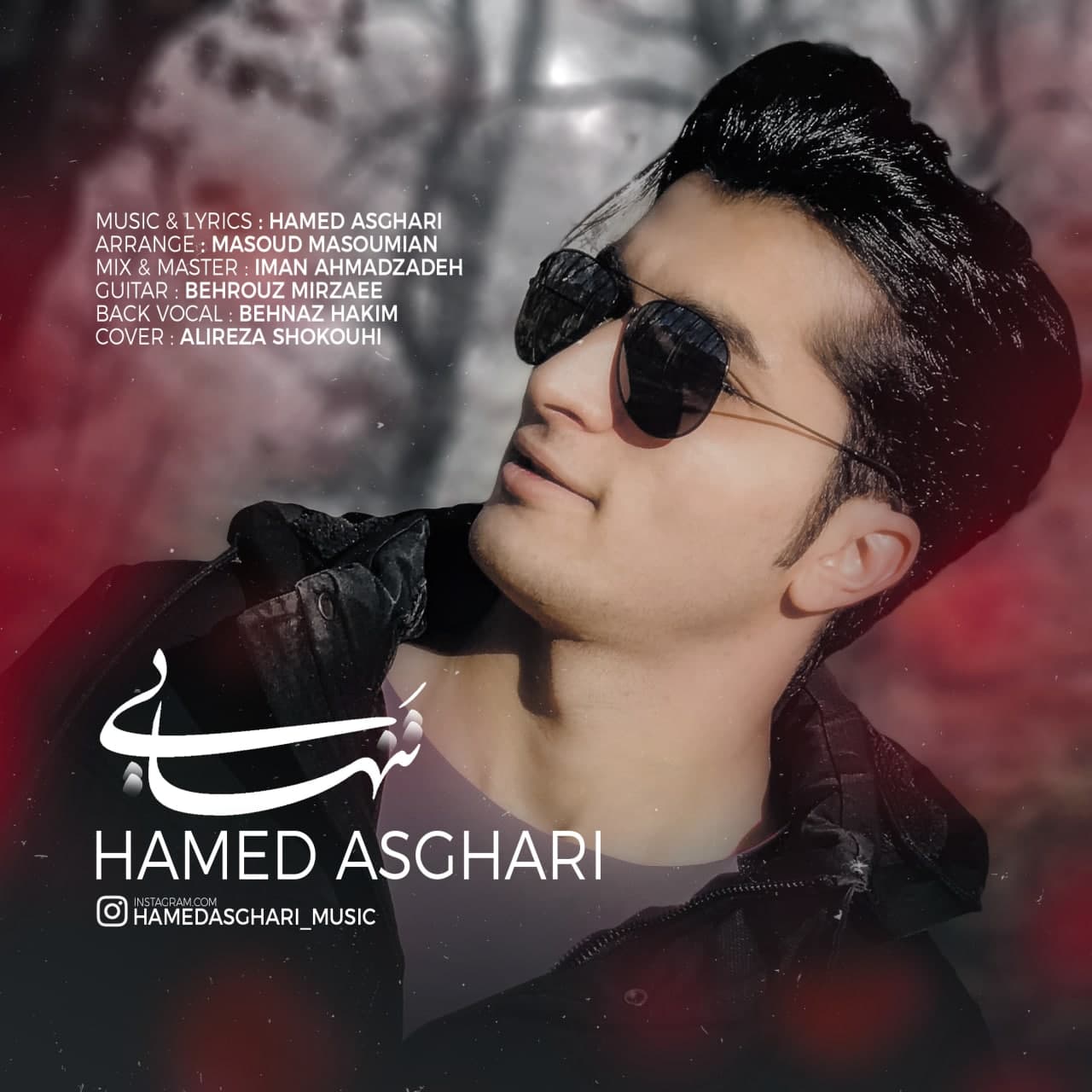 Hamed Asghari – Tanhaei